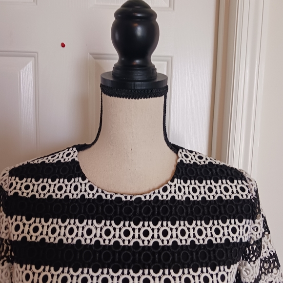 Alexis Amir Striped Crochet Pleated Dress - Picture 6 of 15